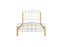 Tetras Bed